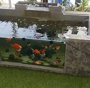 Model Kolam Ikan Kaca Minimalis Depan Rumah